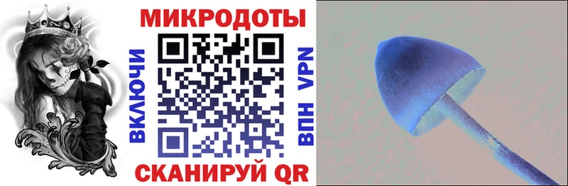 Галлюциногенные грибы Cubensis  Полесск 
